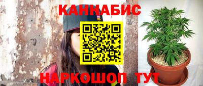 стаф Кунгур