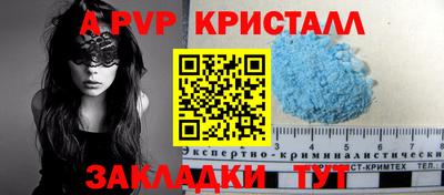 стаф Кунгур