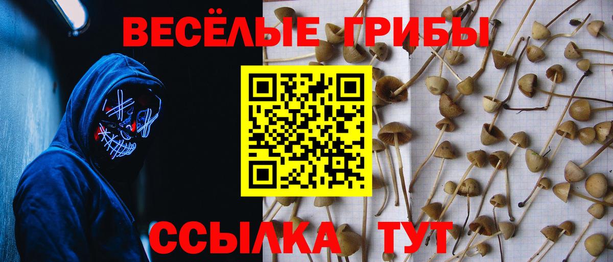 Галлюциногенные грибы мухоморы  Вход с VPN  Керчь 