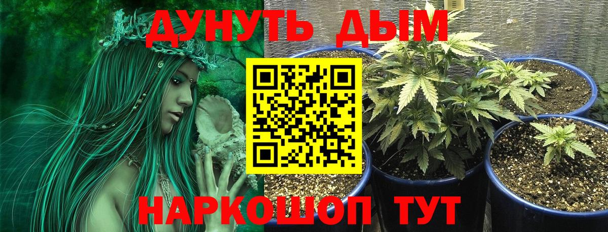 Каннабис ГИДРОПОН  Канабис семена  Бошки марихуана марихуана  Бошки Шишки гибрид  Вход с VPN  Керчь 